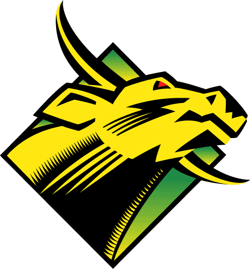 South Florida Bulls 1997-2002 Primary Logo t shirts iron on transfers